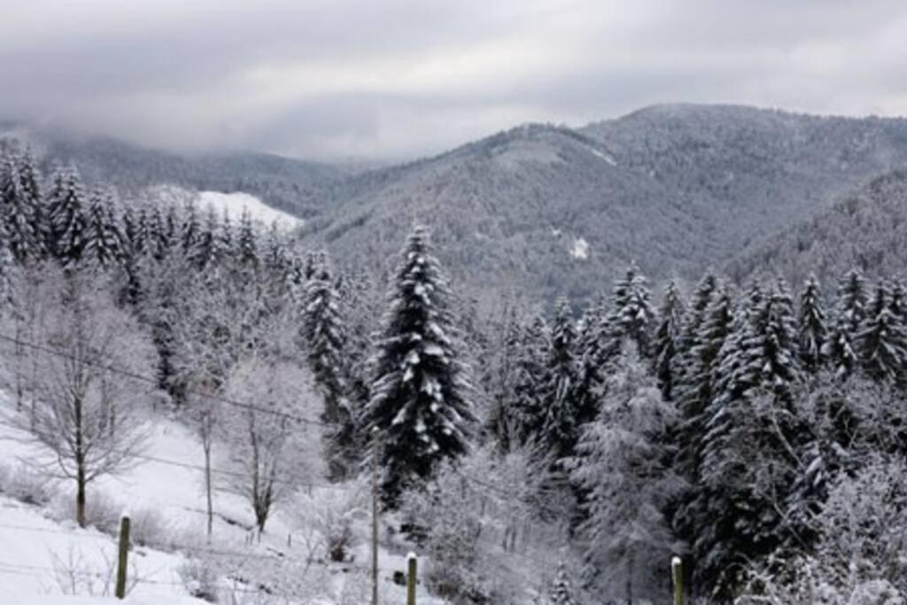 Appartement Dans Vielle Ferme Au Coeur Des Vosges Plainfaing Exteriör bild