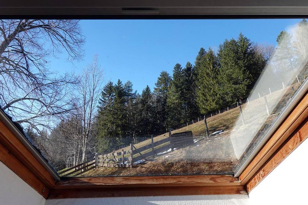 Appartement Dans Vielle Ferme Au Coeur Des Vosges Plainfaing Exteriör bild