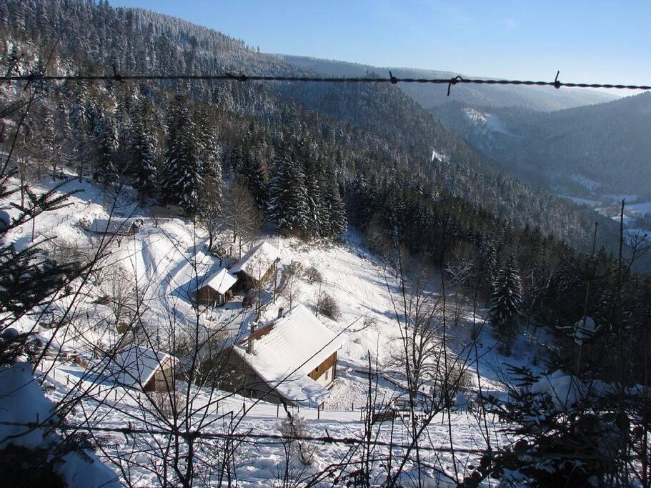 Appartement Dans Vielle Ferme Au Coeur Des Vosges Plainfaing Exteriör bild