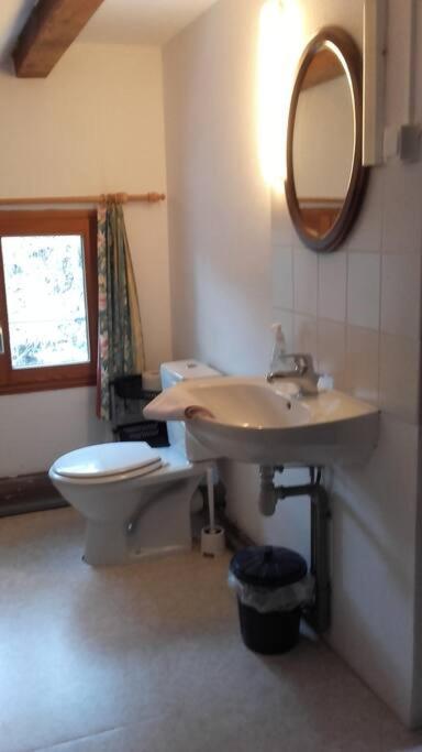 Appartement Dans Vielle Ferme Au Coeur Des Vosges Plainfaing Exteriör bild