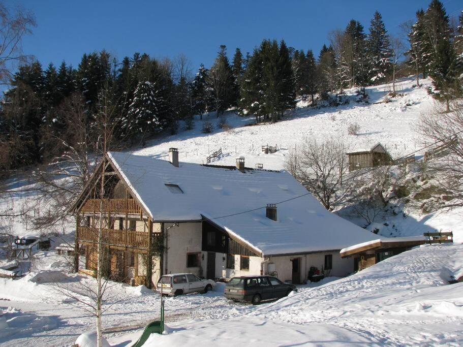 Appartement Dans Vielle Ferme Au Coeur Des Vosges Plainfaing Exteriör bild