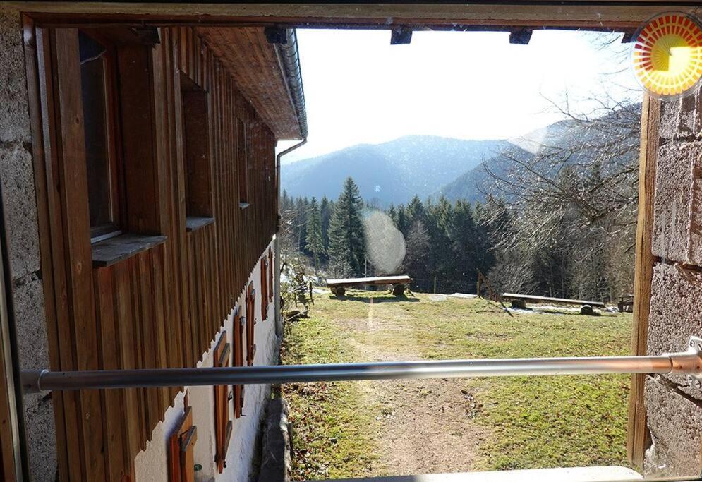 Appartement Dans Vielle Ferme Au Coeur Des Vosges Plainfaing Exteriör bild