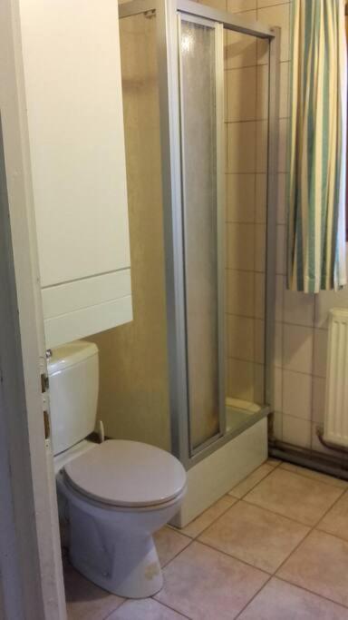 Appartement Dans Vielle Ferme Au Coeur Des Vosges Plainfaing Exteriör bild